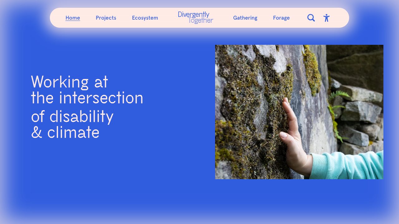 Divergently Together homepage